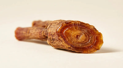 What Are Ginsenosides? The Compounds That Make Ginseng, Ginseng